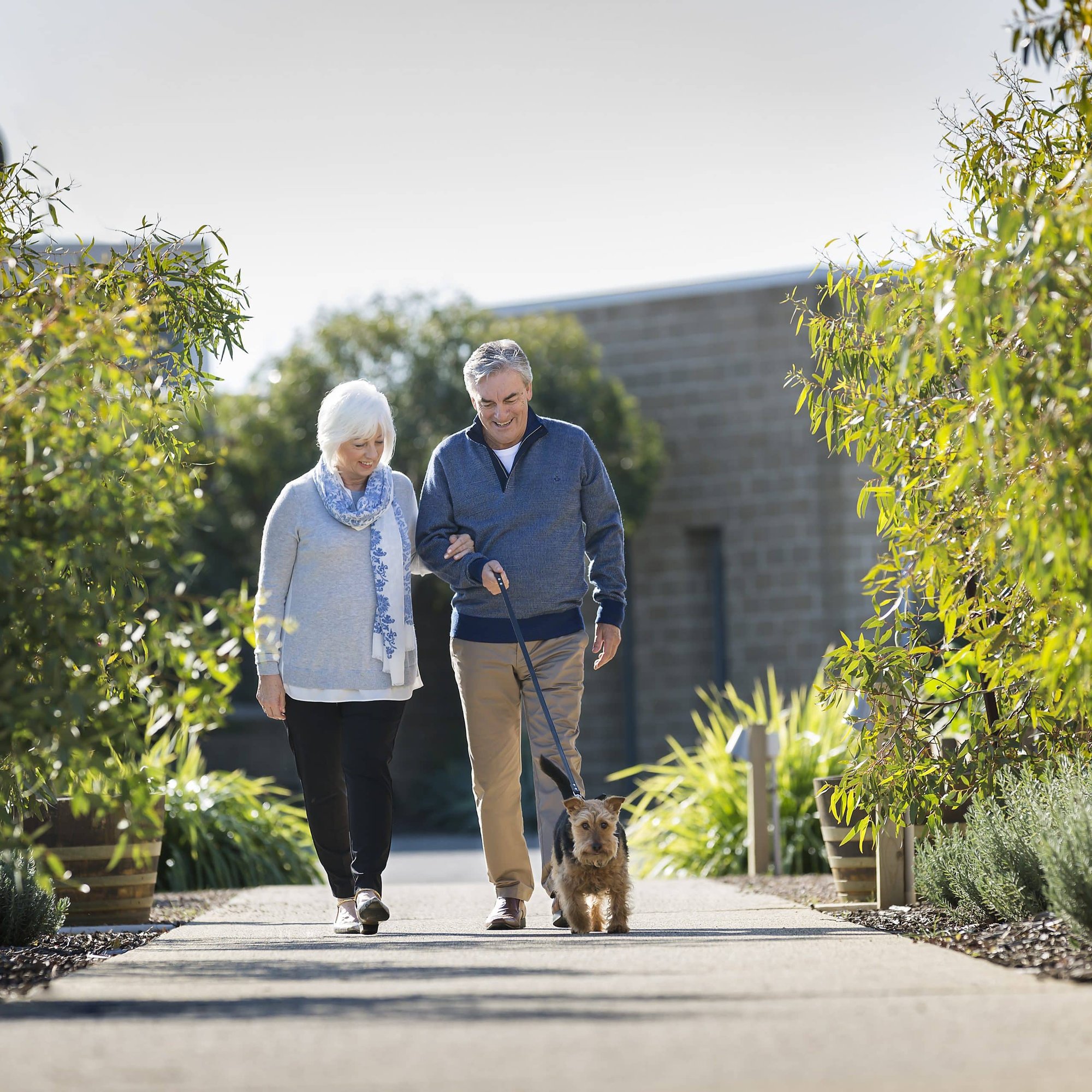 Man and woman walking outside with their dog