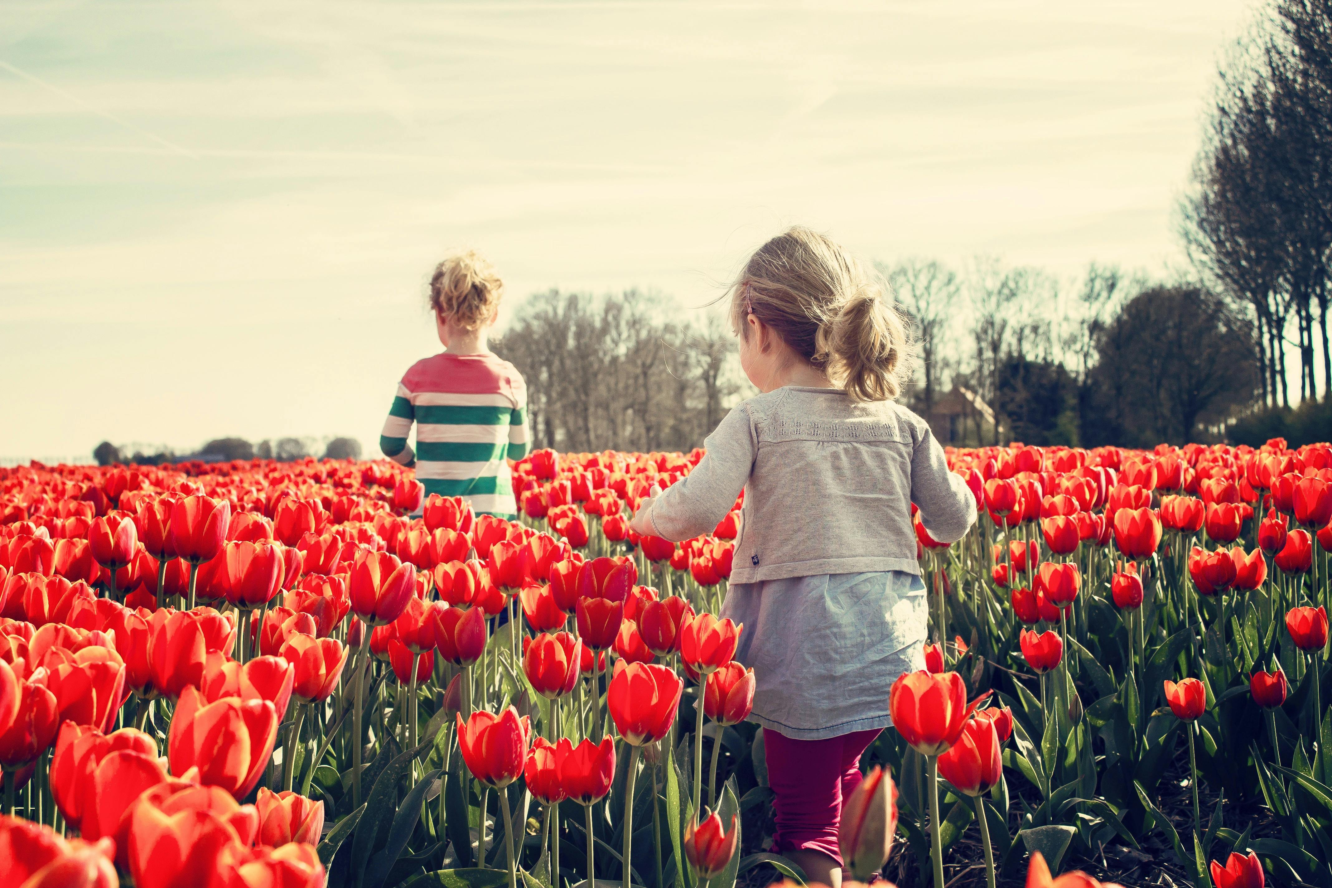 Tulip Festival Family Day (Silvan)