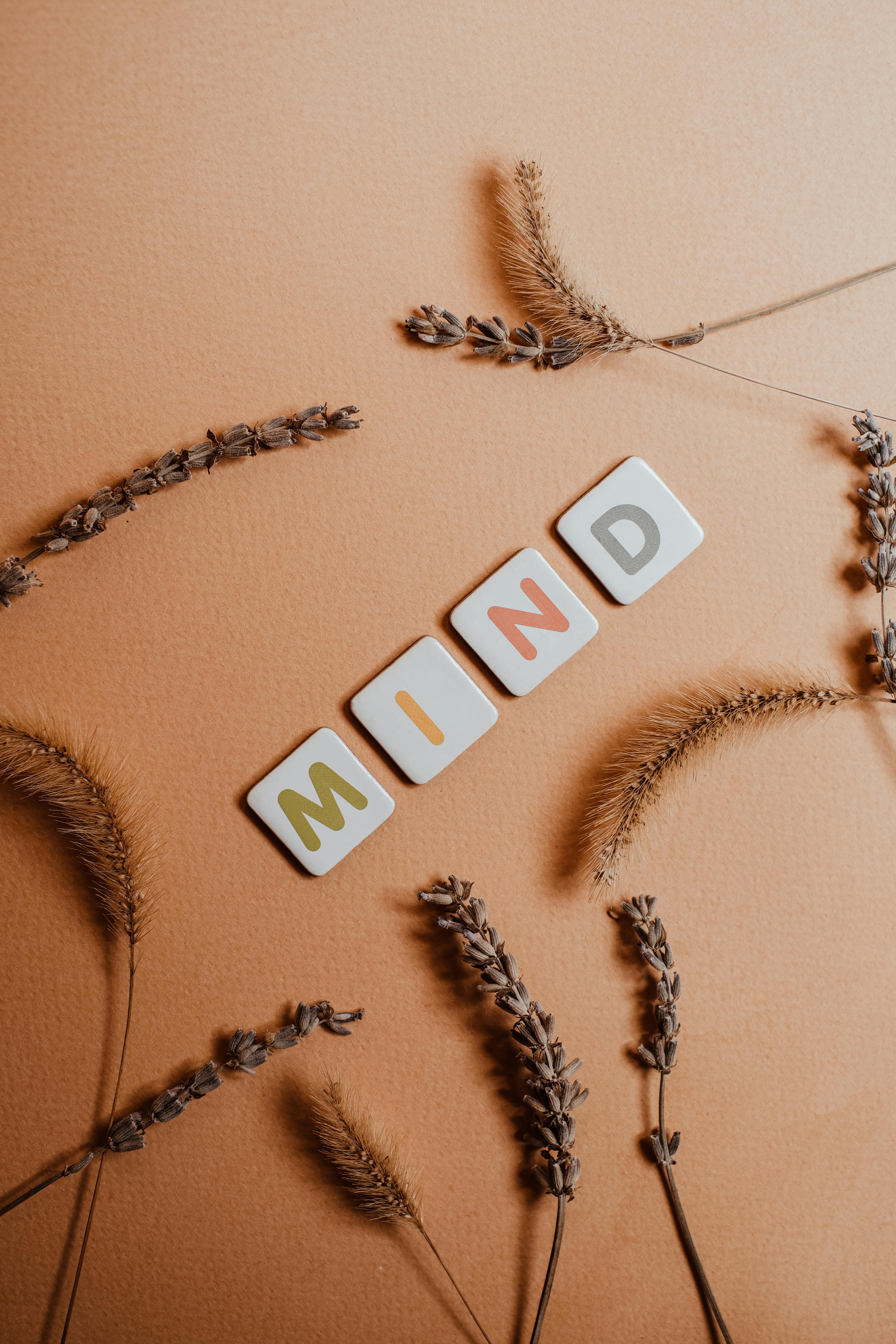 Calm the mind (Online)