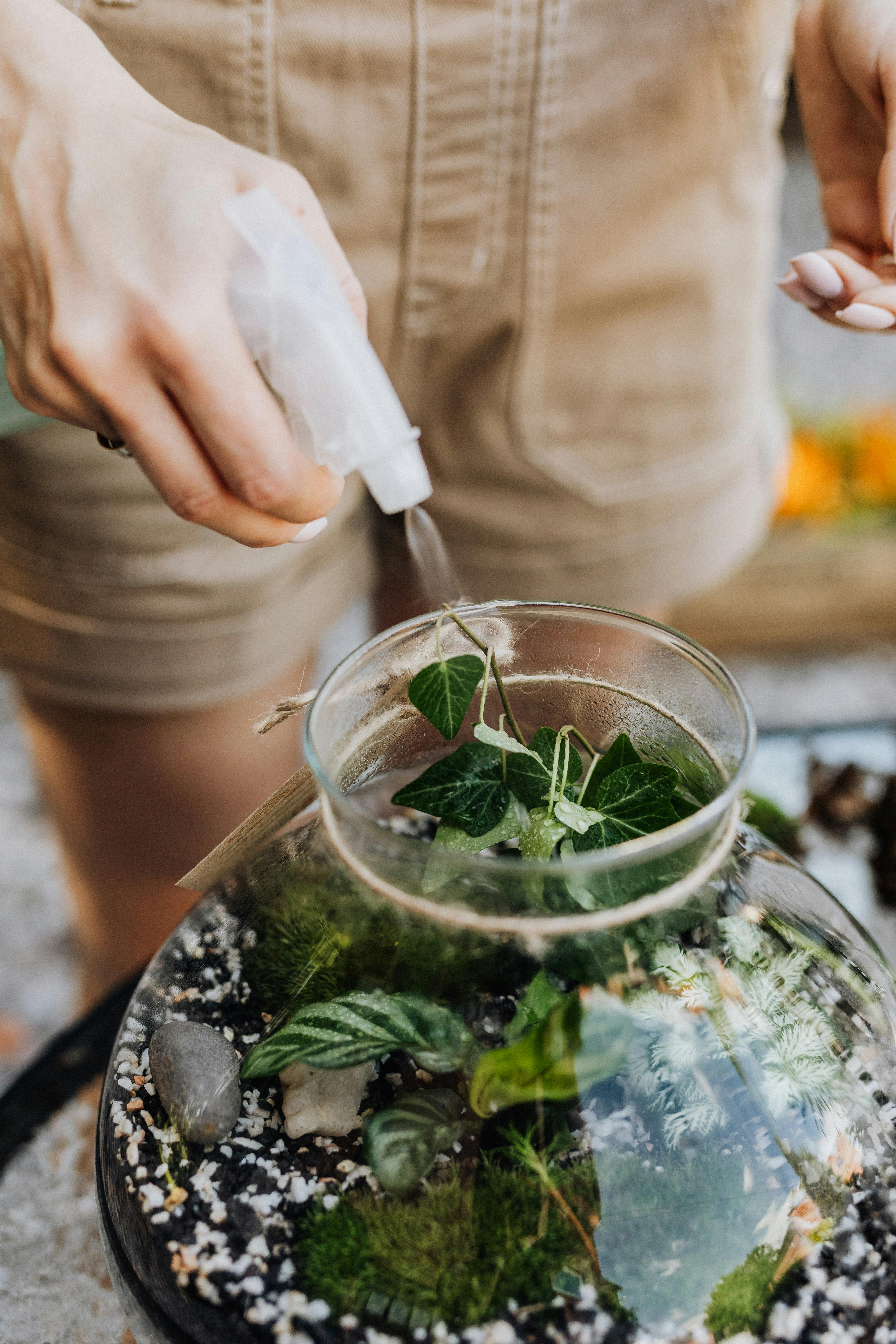 Terrarium workshop (Yarraville)